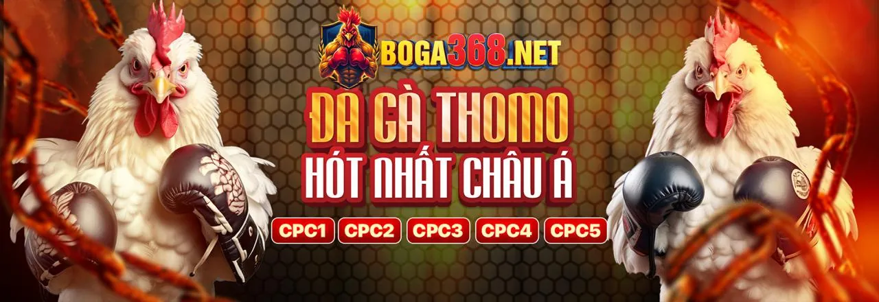 Ưu đãi độc quyền và hoàn trả cao cho VIP SA88